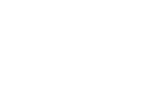 Bruno Family Pom